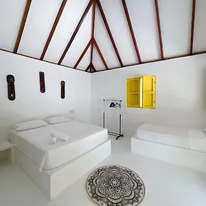 Coral Islas Del Rosario , Isla Grande (Cartagena) Colombia